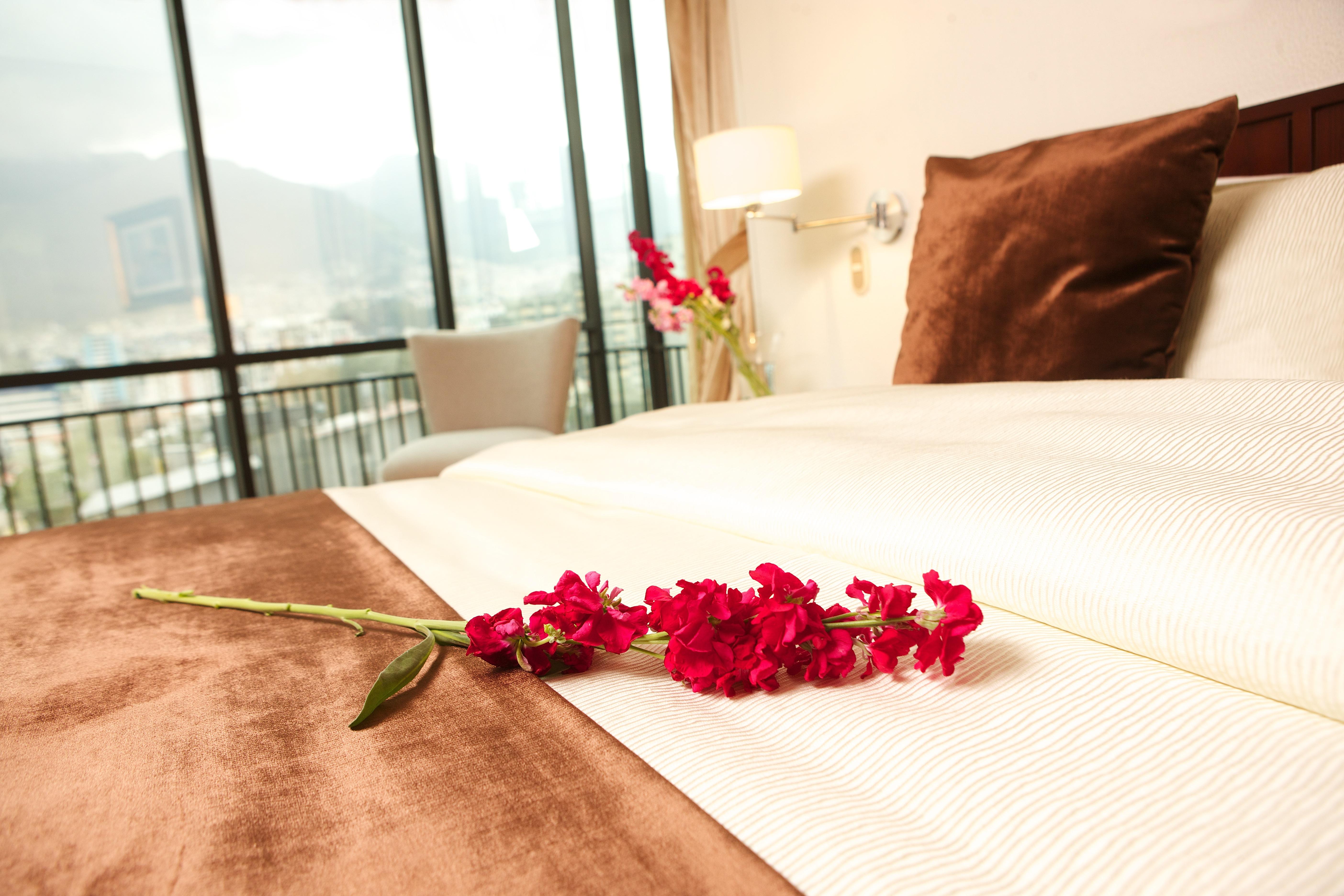 Hotel Rio Amazonas Кито Экстерьер фото
